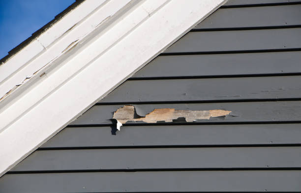 Best Construction Debris Removal  in Jasper, IN